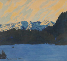 Theodor lang aquarell gebraucht kaufen  Uffing