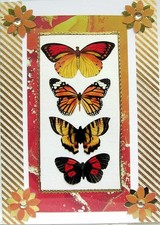 Orange butterfly hand for sale  WARRINGTON
