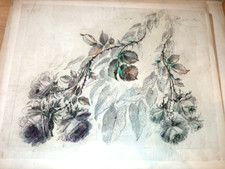 Original gouache wallpaper d'occasion  Expédié en Belgium