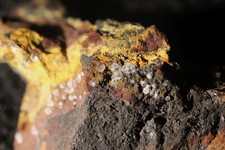 Variscit grube rotläufchen gebraucht kaufen  Edelsfeld