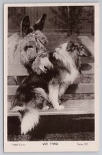 Rppc postcard dog for sale  MANCHESTER