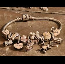 Pandora assorted charms for sale  Taylorsville