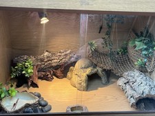 Vivarium well used for sale  OLDHAM