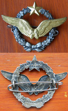 Brevet pilote avion d'occasion  Dompaire