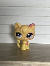 Petshop chaton 2512 d'occasion  Expédié en Belgium