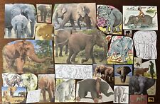Elephant scrapbooking pack for sale  ARMAGH