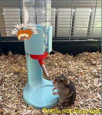 Usado, Suporte para garrafa de água de pé livre, suporte para garrafa de hamster, acessórios para hamster comprar usado Usado, Suporte para garrafa de água de pé livre, suporte para garrafa de hamster, acessórios para hamster comprar usado  Enviando para Brazil