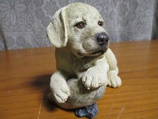 Living stone lab for sale  Waterloo