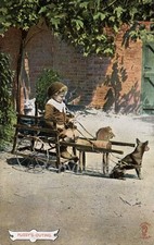 Postcard. pussy outing. for sale  LINCOLN
