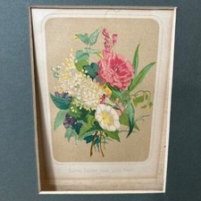 Lithographies anciennes fleurs d'occasion  Strasbourg-