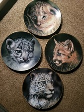 Cubs big cats for sale  TIPTON