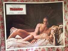 Andy warhol flesh gebraucht kaufen  Deutschland
