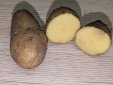 Frühkartoffeln pflanzkartoffe gebraucht kaufen  Schafflung