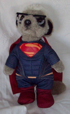 Compare meerkat meerkat for sale  HUNTINGDON