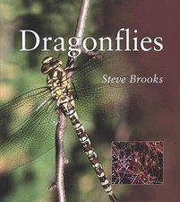 Dragonflies paperback good for sale  Montgomery