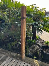Apus natural bamboo for sale  MALDON