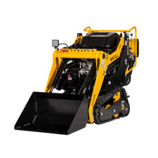 Lumag multi truck gebraucht kaufen  Berching