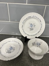 Paragon morning rose for sale  CHESTER