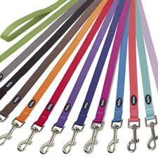 Nobby leine classic gebraucht kaufen  Arolsen