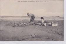 Chasse baie somme d'occasion  France