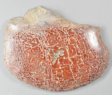 bone vermelho comprar usado bone vermelho comprar usado Enviando para Brazil