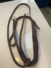 Havana brown running for sale  BRACKLEY