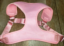 Top paw female for sale  Fort Myers