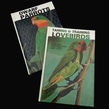 Dwarf parrots taming for sale  Lees Summit