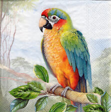 Servietten exotische vögel gebraucht kaufen  Erfurt