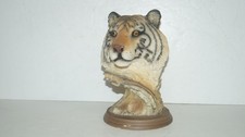 siberian tiger for sale  Van Wert