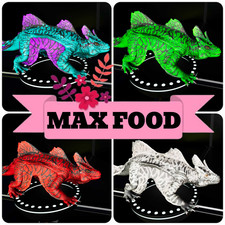 Maeguana MAX FOOD ARK🌸 Survival Ascended ASA PVE (Maeg/Maewing) comprar usado  Enviando para Brazil