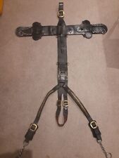 Heavy horse shire for sale  ALTON