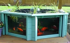 Lily clear view for sale  HORSHAM