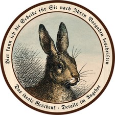 Hase spitz hren gebraucht kaufen Hase spitz hren gebraucht kaufen  Grabenstätt