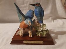 Kingfishers leonardo bird for sale  DOWNHAM MARKET