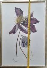Julia trickey signed for sale  BRISTOL