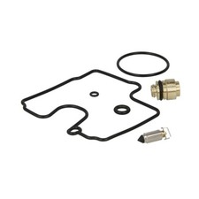 Carburetor repair kit for sale  BRIGHTON