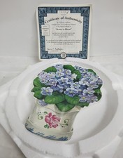 Bradford beauty bloom for sale  MALDON