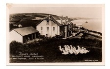 Old postcard trout for sale  PAIGNTON