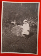 Photo bambina pecora usato  Pistoia