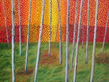 Foresta multicolore albero usato  Latina