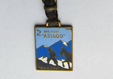 Alpini artiglieria montagna usato  Verona