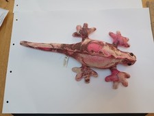 Kandytoys large salamander for sale  BURY ST. EDMUNDS