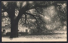 Old postcard loches d'occasion  Expédié en Belgium
