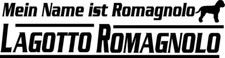 Mio nome è...gotto usato  Spedire a Italy