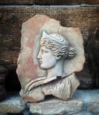 Bassorilievo minerva terracott usato  Venezia