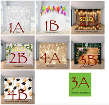 Backdrops 8x8 pillow for sale  Holland
