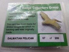 Rspb dalmatian pelican for sale  TELFORD