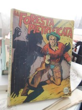 Ragazzo far west usato  Pordenone