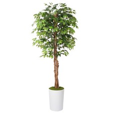 7ft artificial ficus for sale  USA